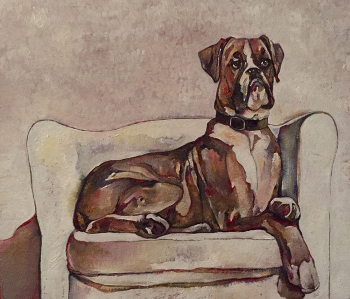 Boxer on White Chair - reproduction print by Jenni Cator