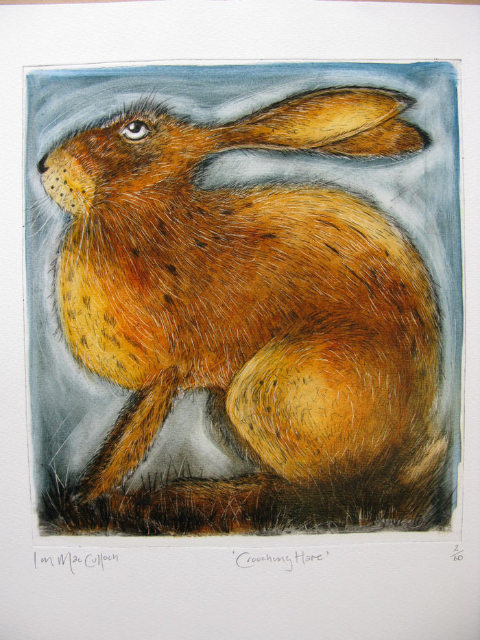 Crouching Hare