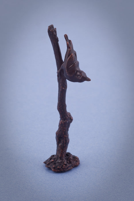 Miniature Bronze Nuthatch on Branch