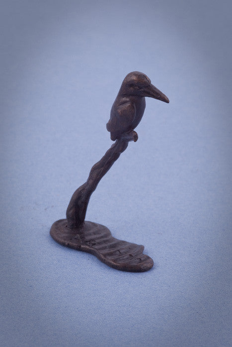 Miniature Bronze Kingfisher on Branch
