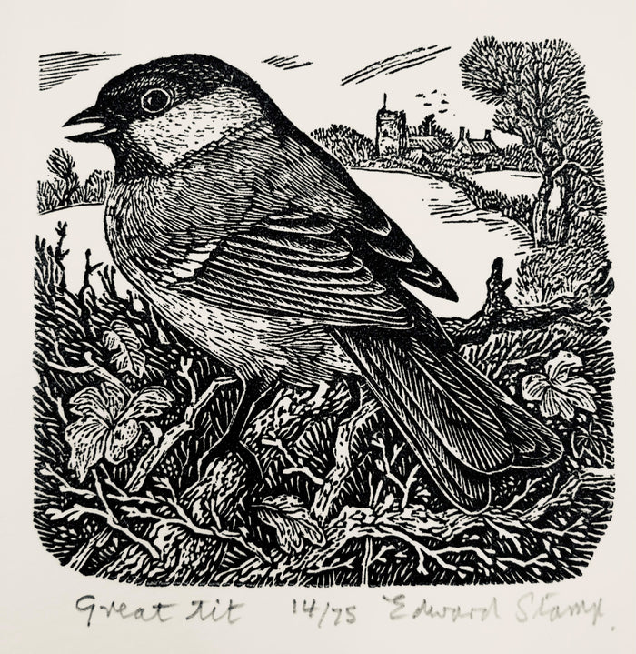 Great Tit by Edward Stamp