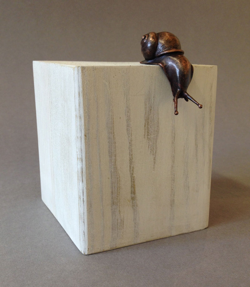 Bronze Snail Over Edge by David Meredith