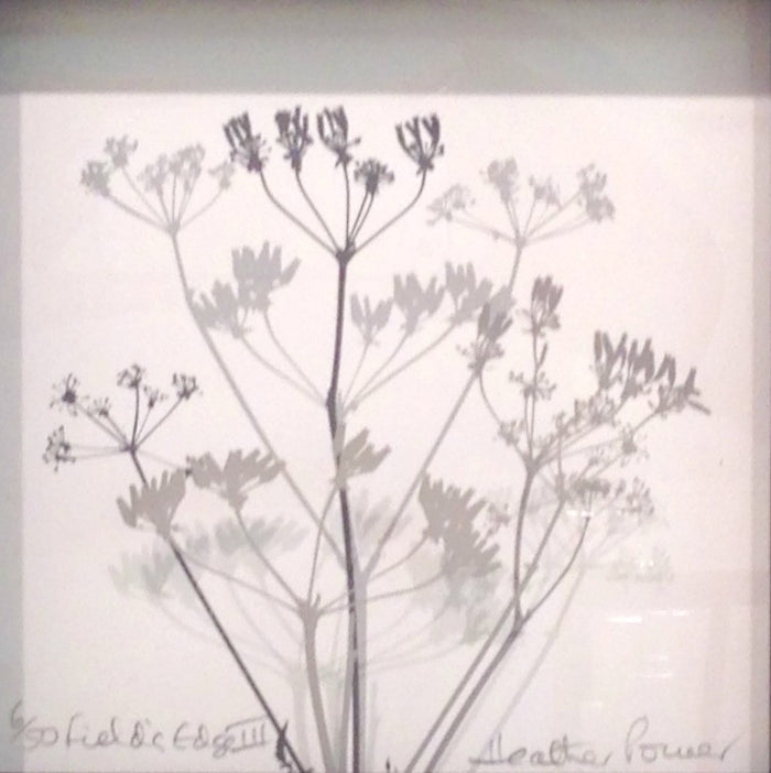 Fields Edge III, Heather Power
