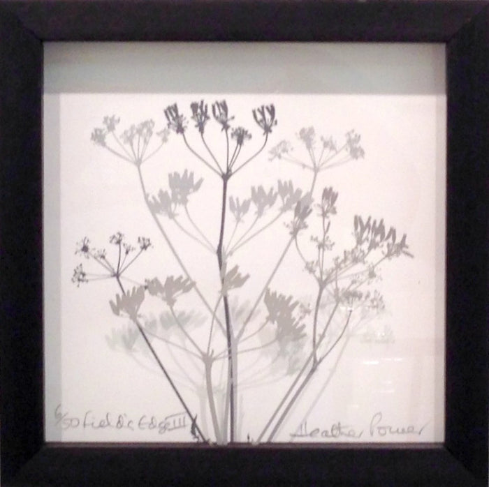 Fields Edge III, Heather Power