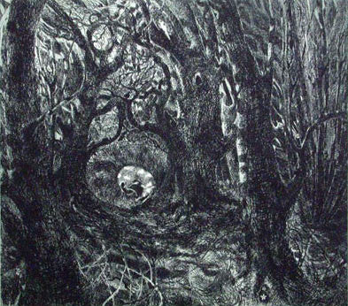 Flora McLachlan In The Wood etching