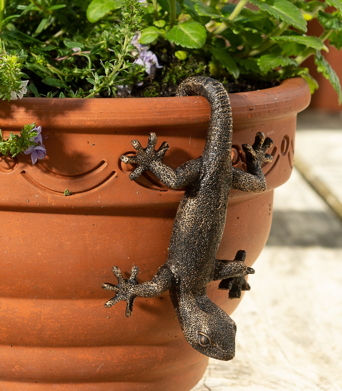 Gecko Pot Buddy