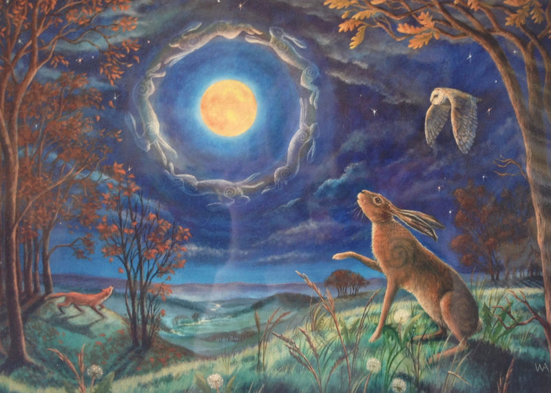 Hare Moon Halo by Wendy Andrew