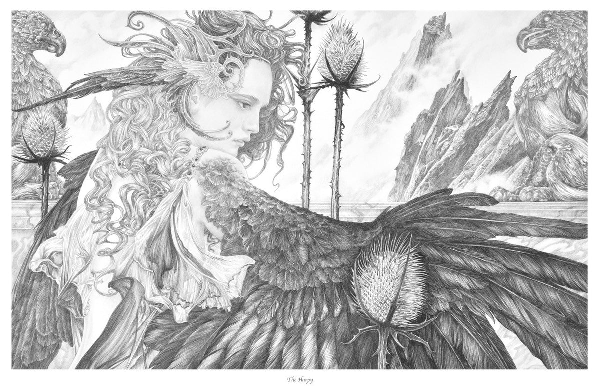 The Harpy by Ed Org - Limited Edition Print