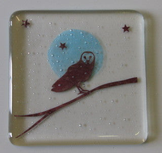 Owl on Branch Coaster, Becky Haywood