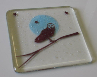Owl on Branch Coaster, Becky Haywood