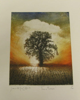 Tree and Furrows, Ian MacCulloch