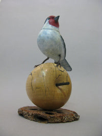 Goldfinch on Apple Bronze by David Meredith