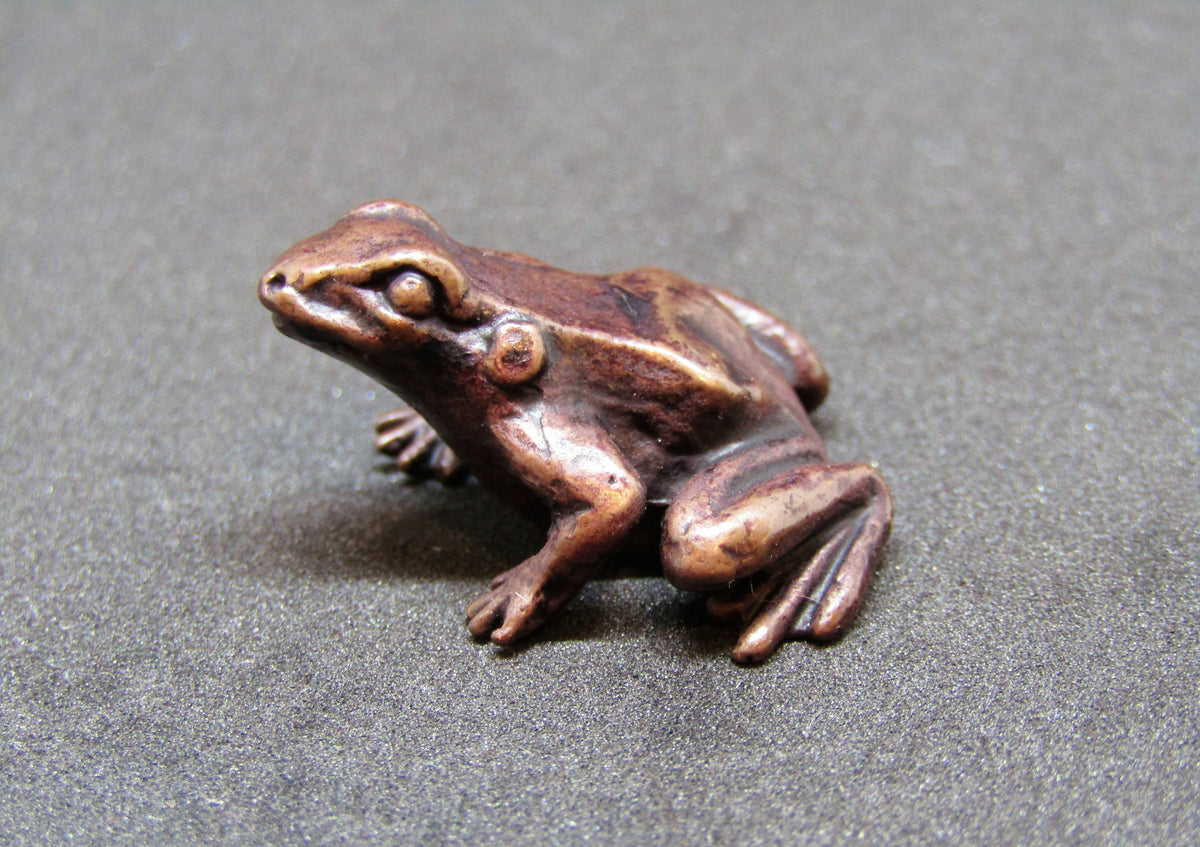 Mini Bronze Frog