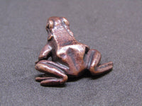 Mini Bronze Frog