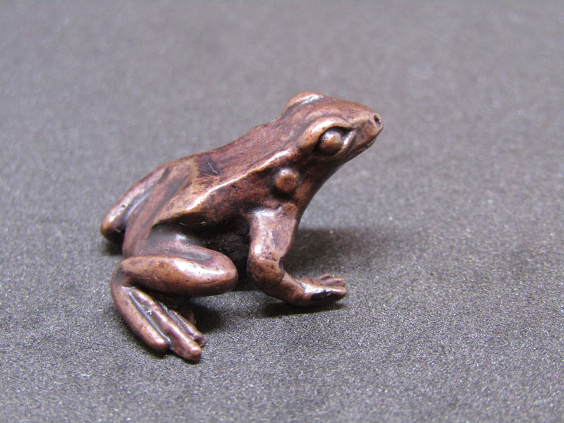 Mini Bronze Frog