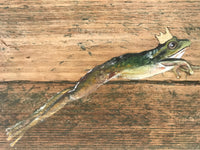 The Frog Prince