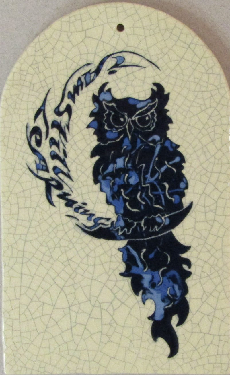Rectangular Shaped Ceramic Owl Tile "I Am Still Learning" by Mel Chambers