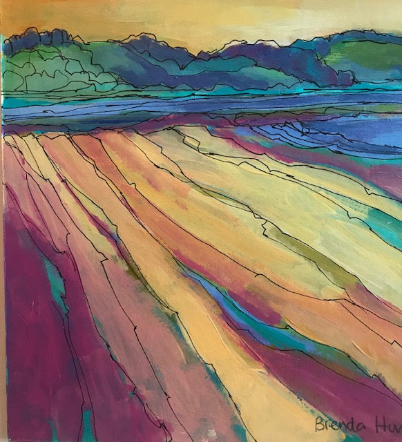 The Hills of Home by Brenda Hurley