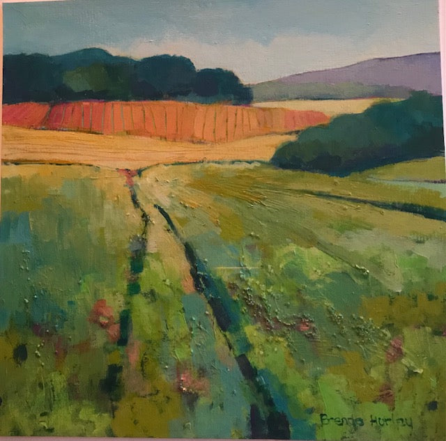 Textures in the Fields by Brenda Hurley