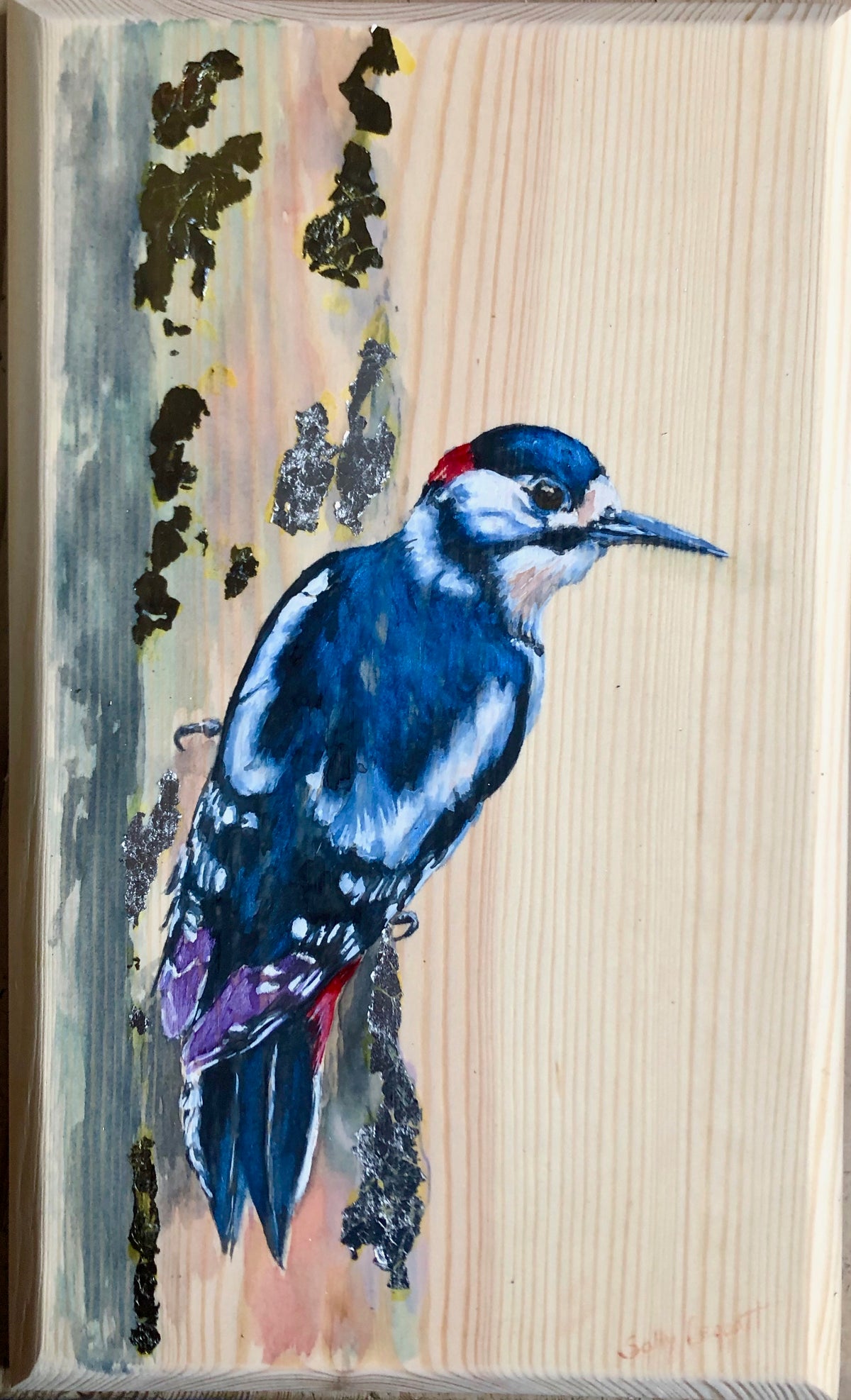 Lesser Spotted Woodpecker by Sally Leggatt