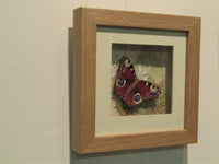 Framed Textile Peacock Butterfly by Vikki Lafford Garside