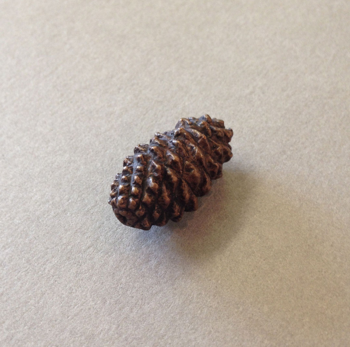 Miniature Pinecone by David Meredith