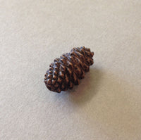 Miniature Pinecone by David Meredith