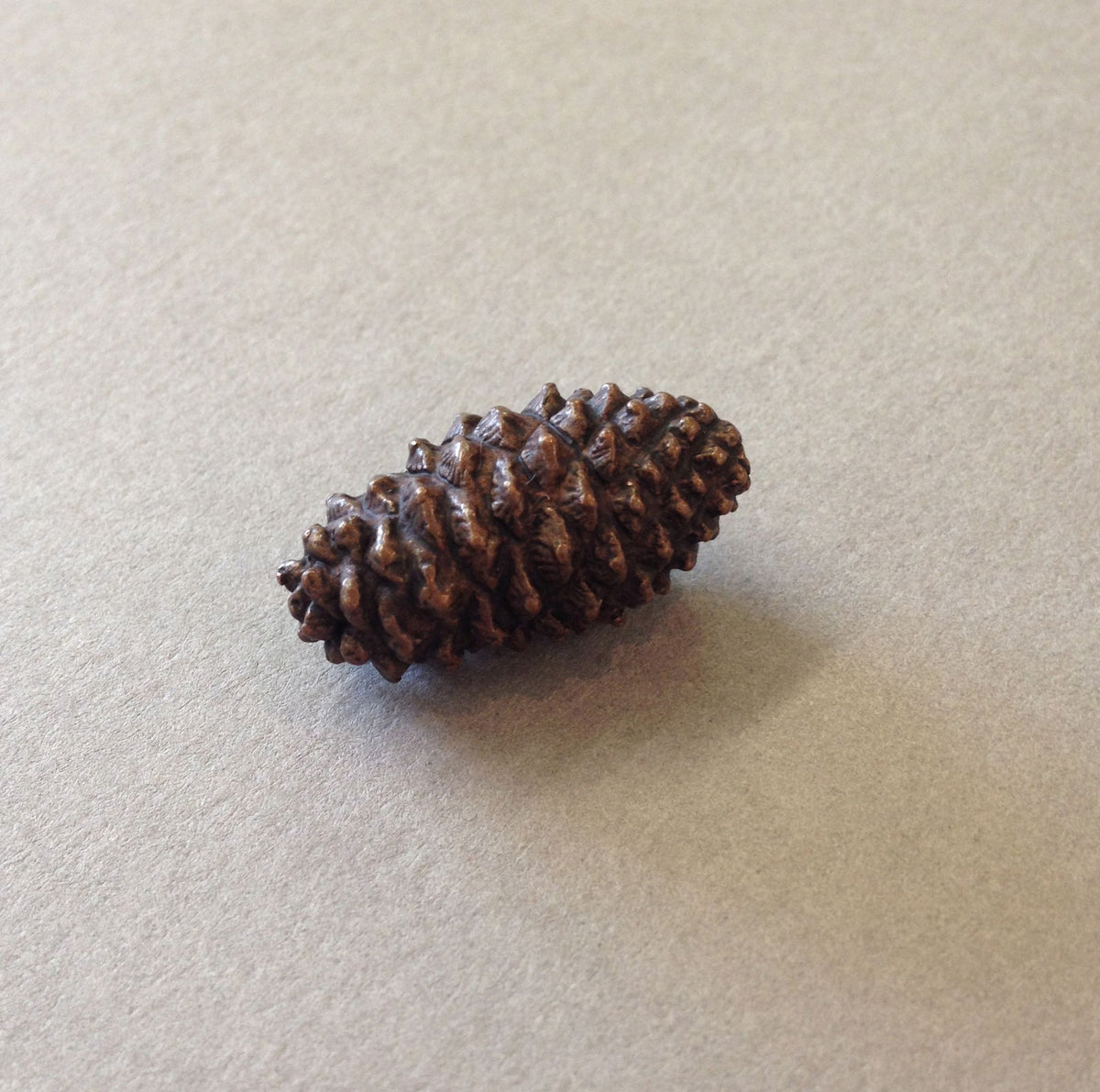 Miniature Pinecone by David Meredith