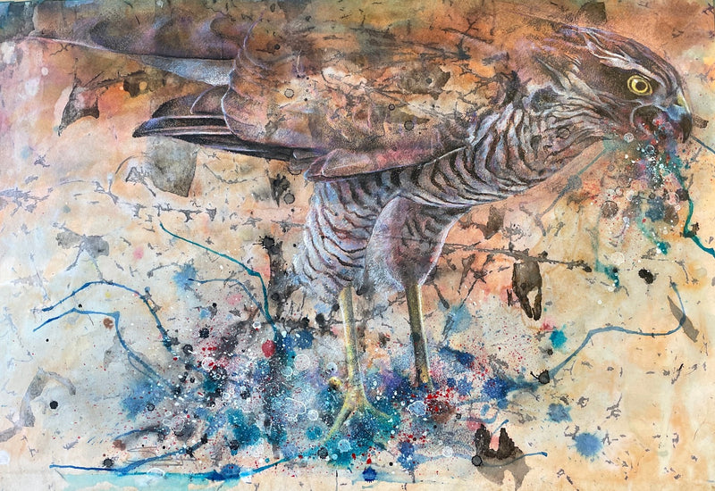 Pantaloons by Suzy Drake 