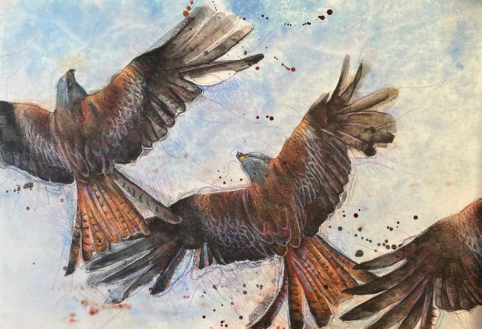 Three Kites by Suzy Drake 