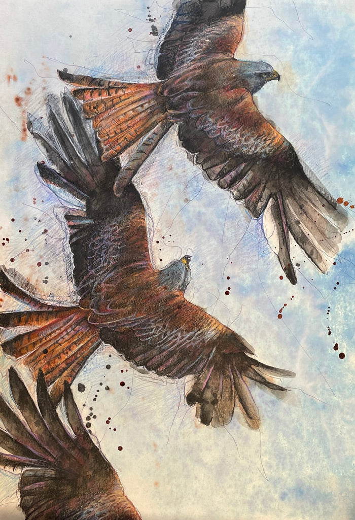 Three Kites by Suzy Drake 