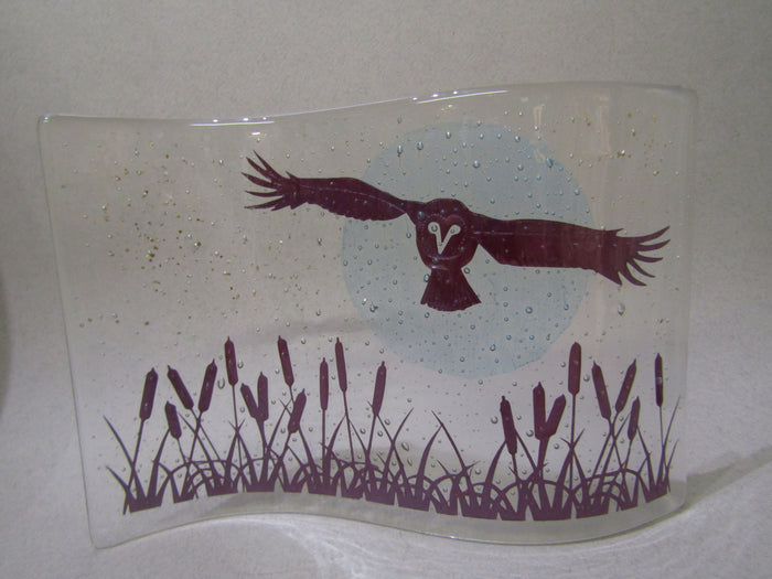 Owl Wave, Becky Haywood
