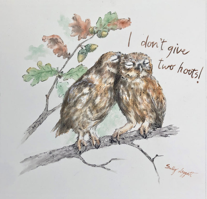 I Don't Give Two Hoots! by Sally Leggatt