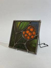 Orange Allium by Nicola Kantorowicz