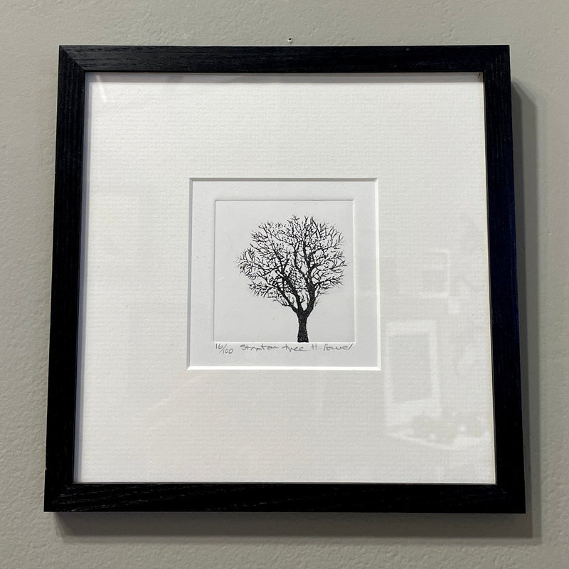 Stanton Tree Etching by Heather Power