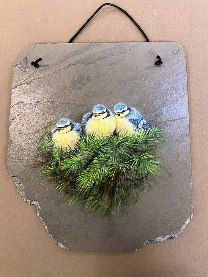 Bluetit Fledgelings - Painting on Slate