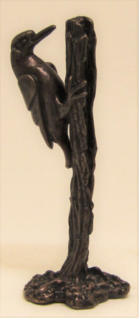 Bronze Woodpecker