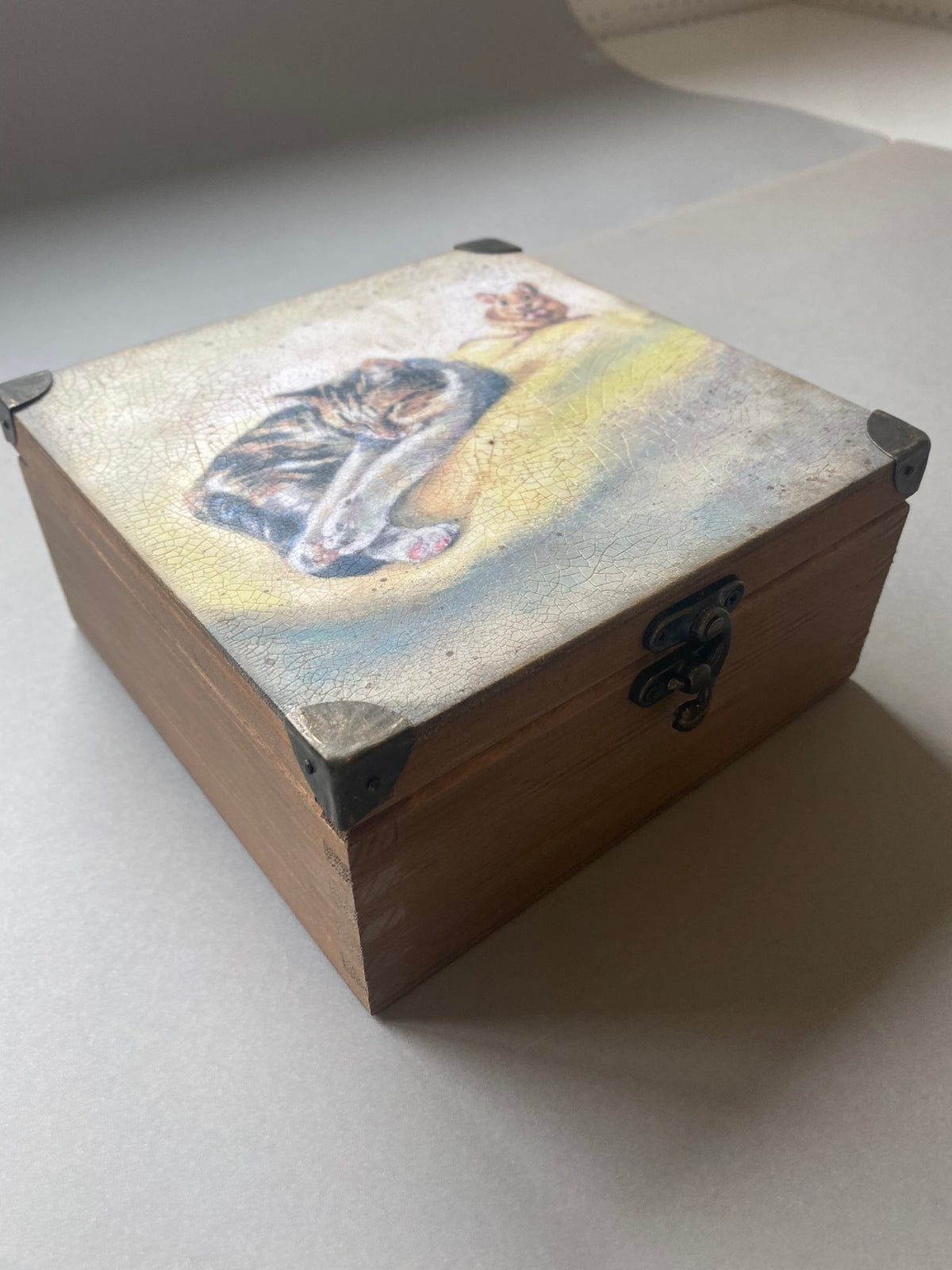 4 Compartment Tea / Jewellery / Trinket Box by Monika Maksym featuring Artwork by Sally Leggatt (MM66)