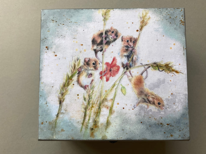 Square Jewellery / Trinket Box by Monika Maksym featuring Artwork by Sally Leggatt (MM77)