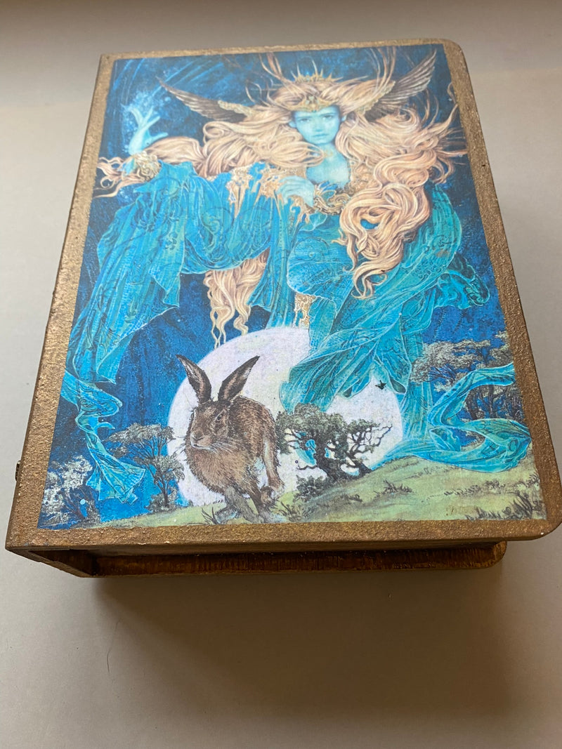 Faux Book Jewellery / Trinket Box by Monika Maksym featuring Artwork by Ed Org (MM89)