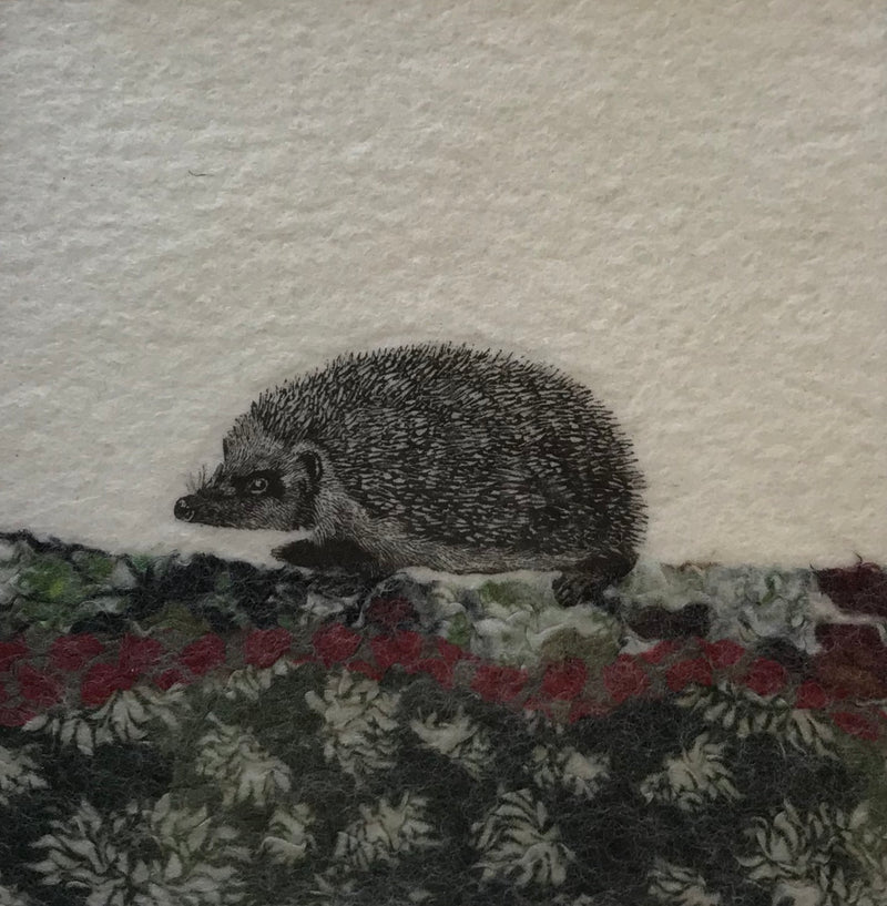 Hedgehog by Lindsey Tyson