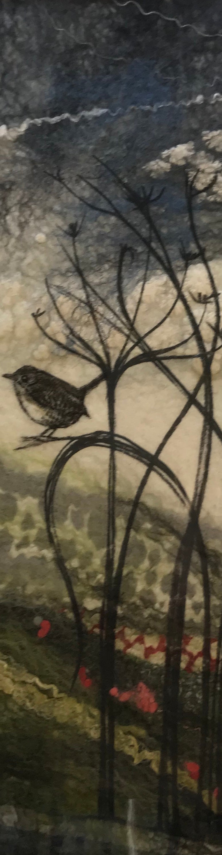 Wren on Cow Parsley Seedhead by Lindsey Tyson