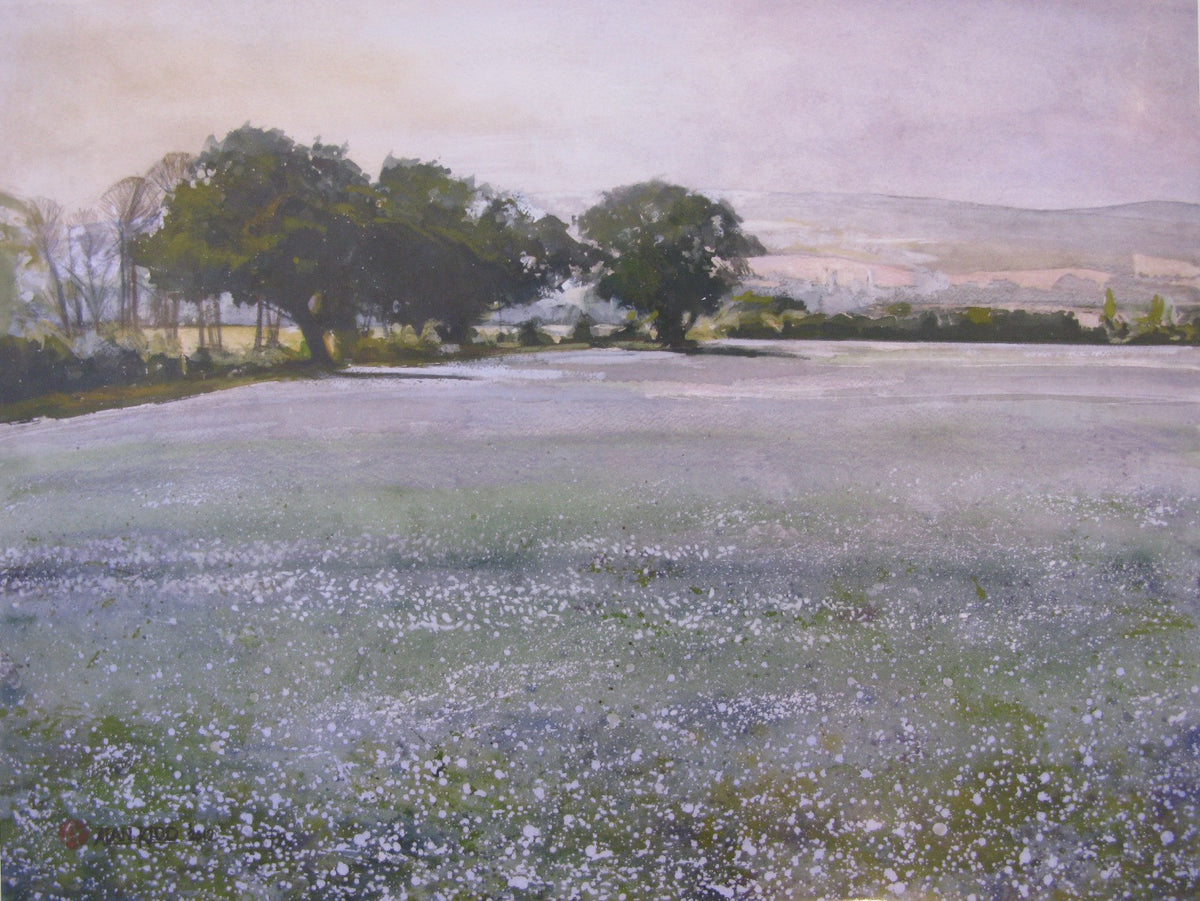 Linseed at Emmington by Alan Kidd