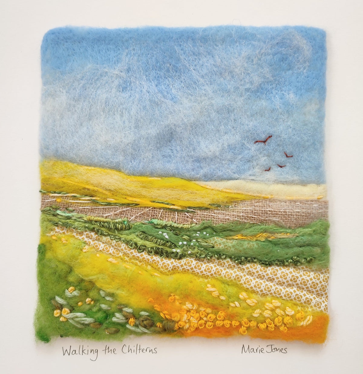 Walking the Chilterns by Marie Jones