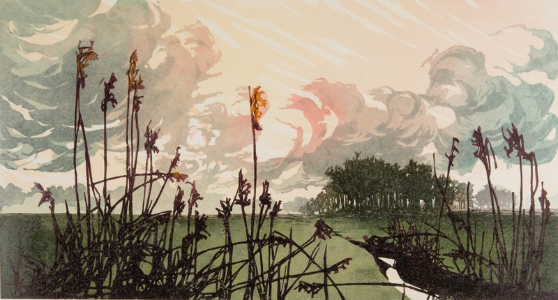 Mid February by Laura Boswell