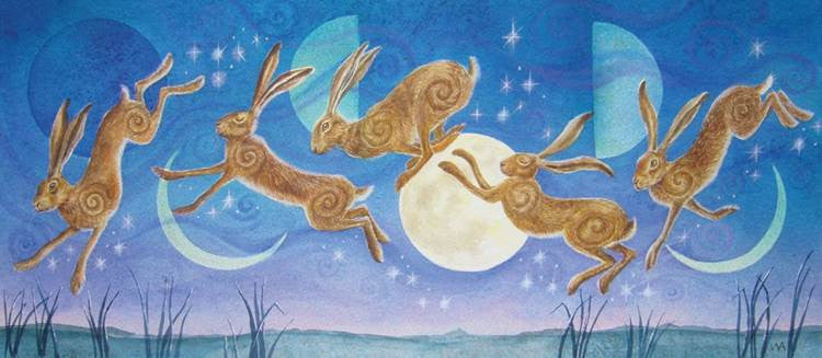 Moon Moon Dance