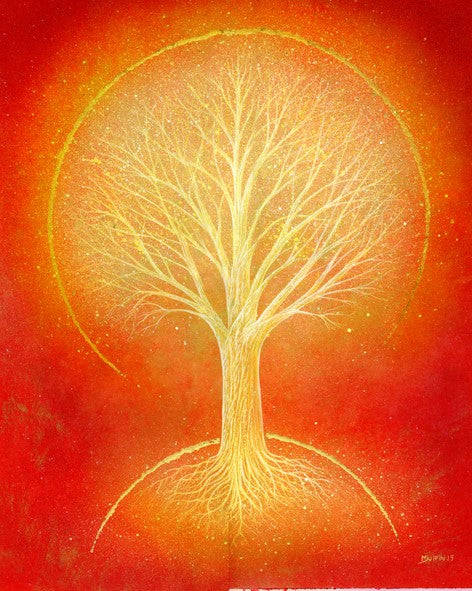 Orange Aura by Mark Duffin