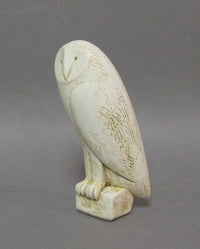 Barn Owl by Paul Smith