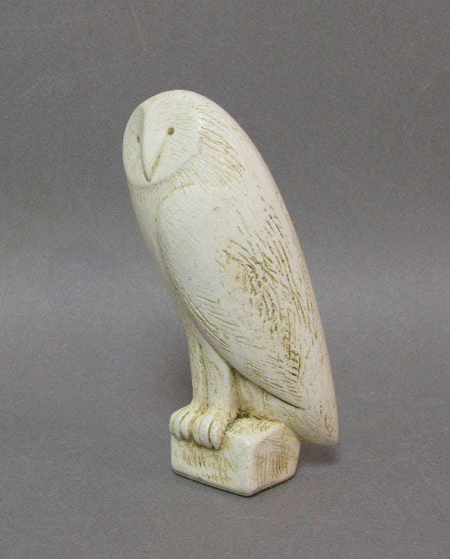 Barn Owl by Paul Smith