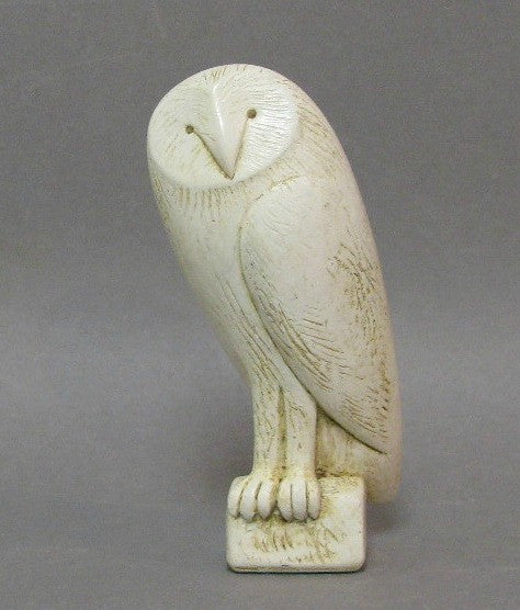 Barn Owl by Paul Smith